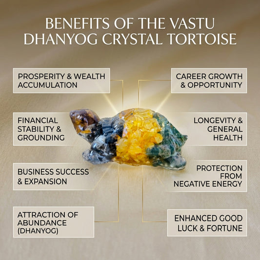 Vastu Dhanyog Tortoise (Kachhua)