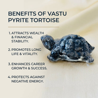 Vastu Pyrite Turtle (Kachhua)