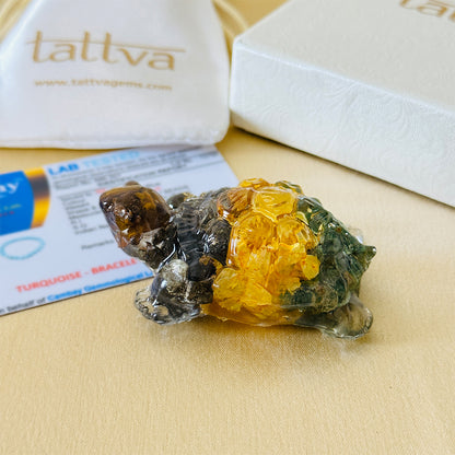 Vastu Dhanyog Tortoise (Kachhua)