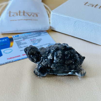 Vastu Pyrite Turtle (Kachhua)